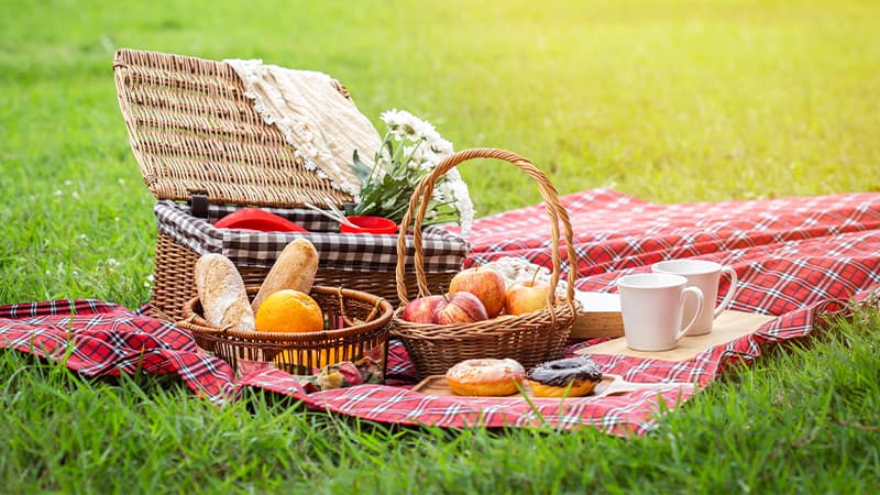 Perfect Picnic: Your Ultimate Guide to Outdoor Feasting